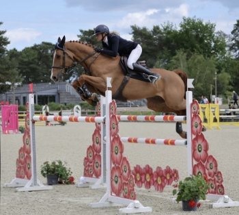 JUST A DREAM D'ARGENT